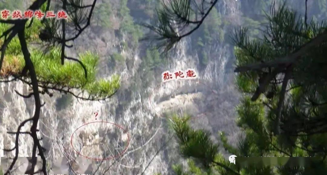 多系统萎缩很多问题出在“腿上”，因此以下5种下肢锻炼要重视！