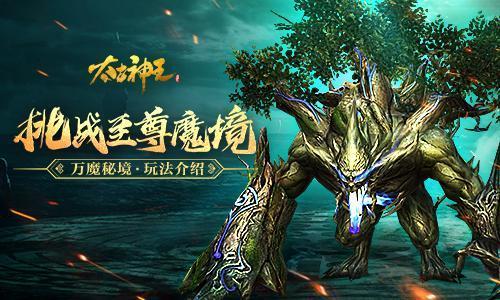 用情传递温度 用心守护光明